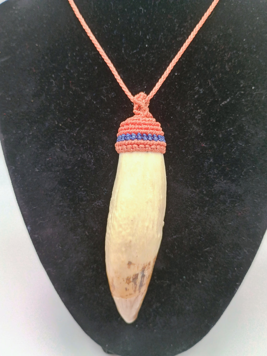 Authentic Handmade Macrame Sea Lion Tooth Necklace Amulet Pendant