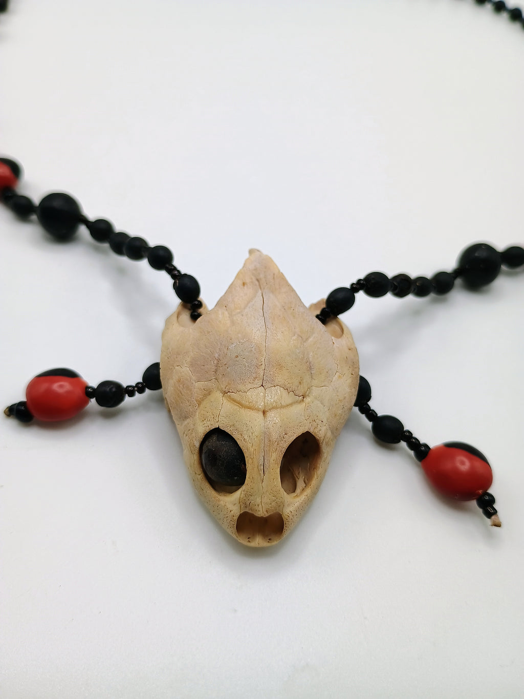 Handmade Necklace with Huayruro Seeds and a Protective Turtle Skull