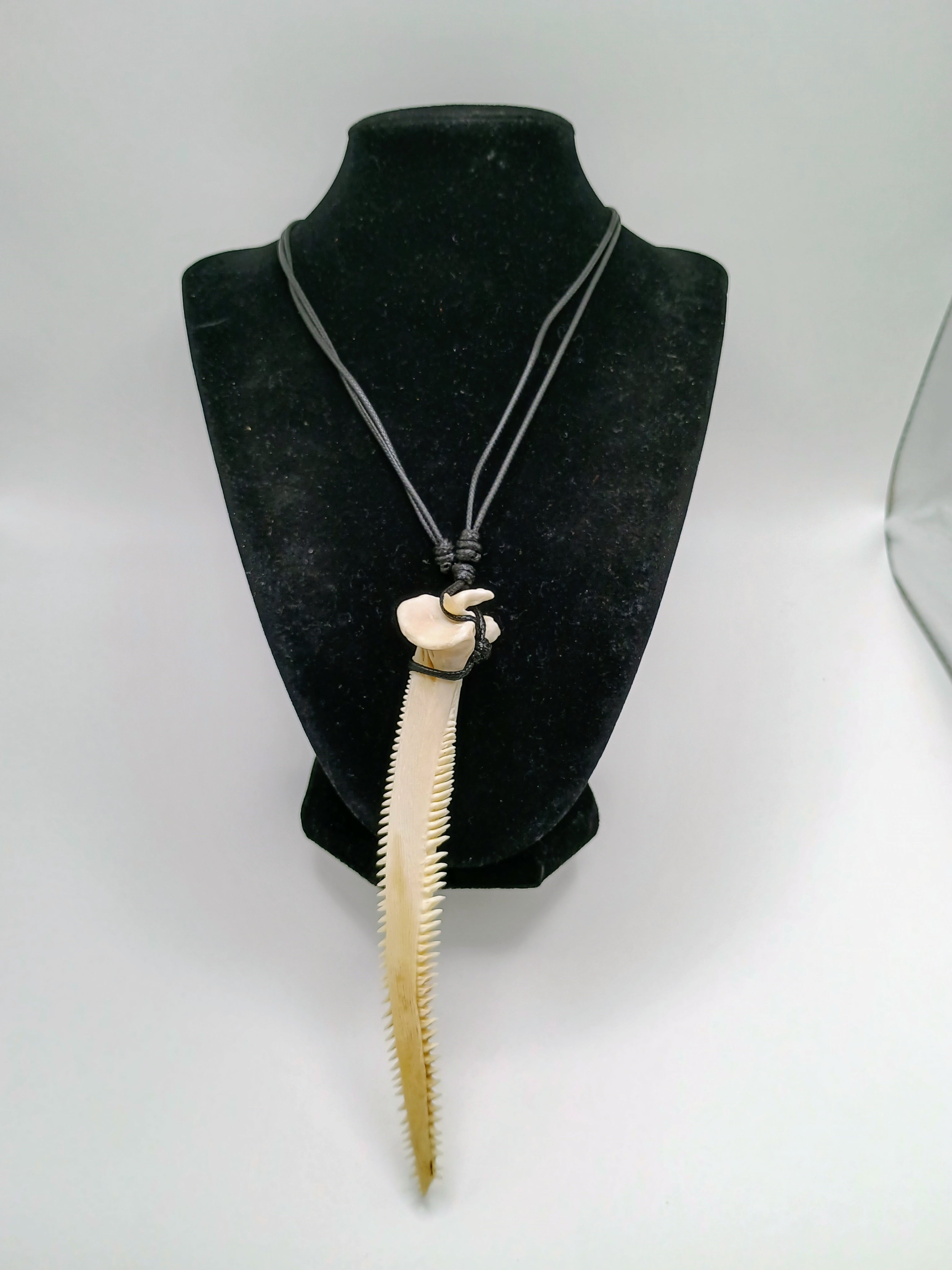 Handmade Natural Stingray Stinger Necklace with Adjustable Black Cord  Description: