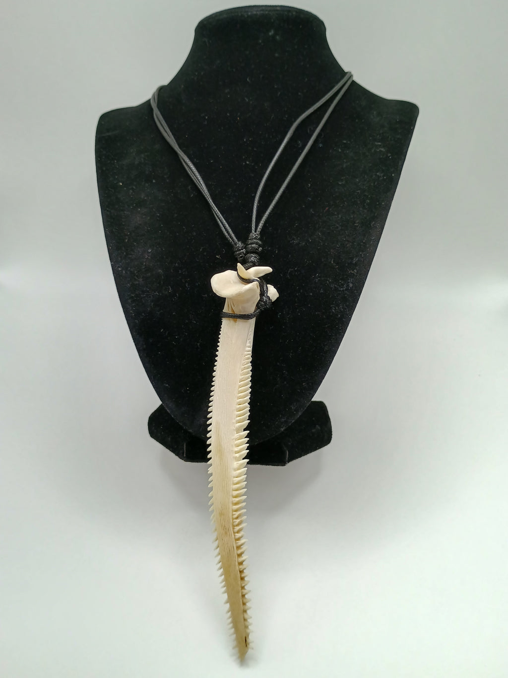 Handmade Natural Stingray Stinger Necklace with Adjustable Black Cord  Description: