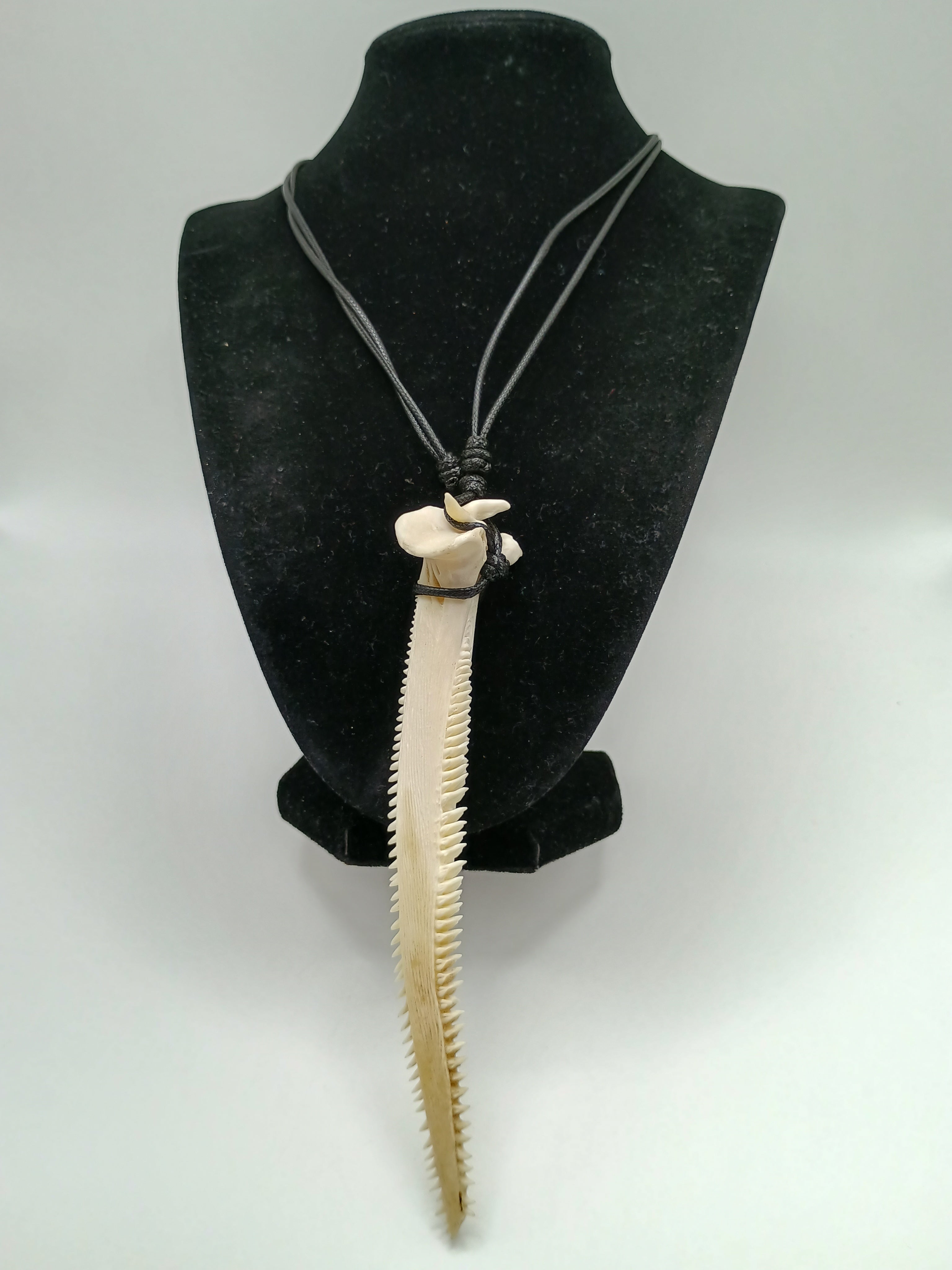 Handmade Natural Stingray Stinger Necklace with Adjustable Black Cord  Description: