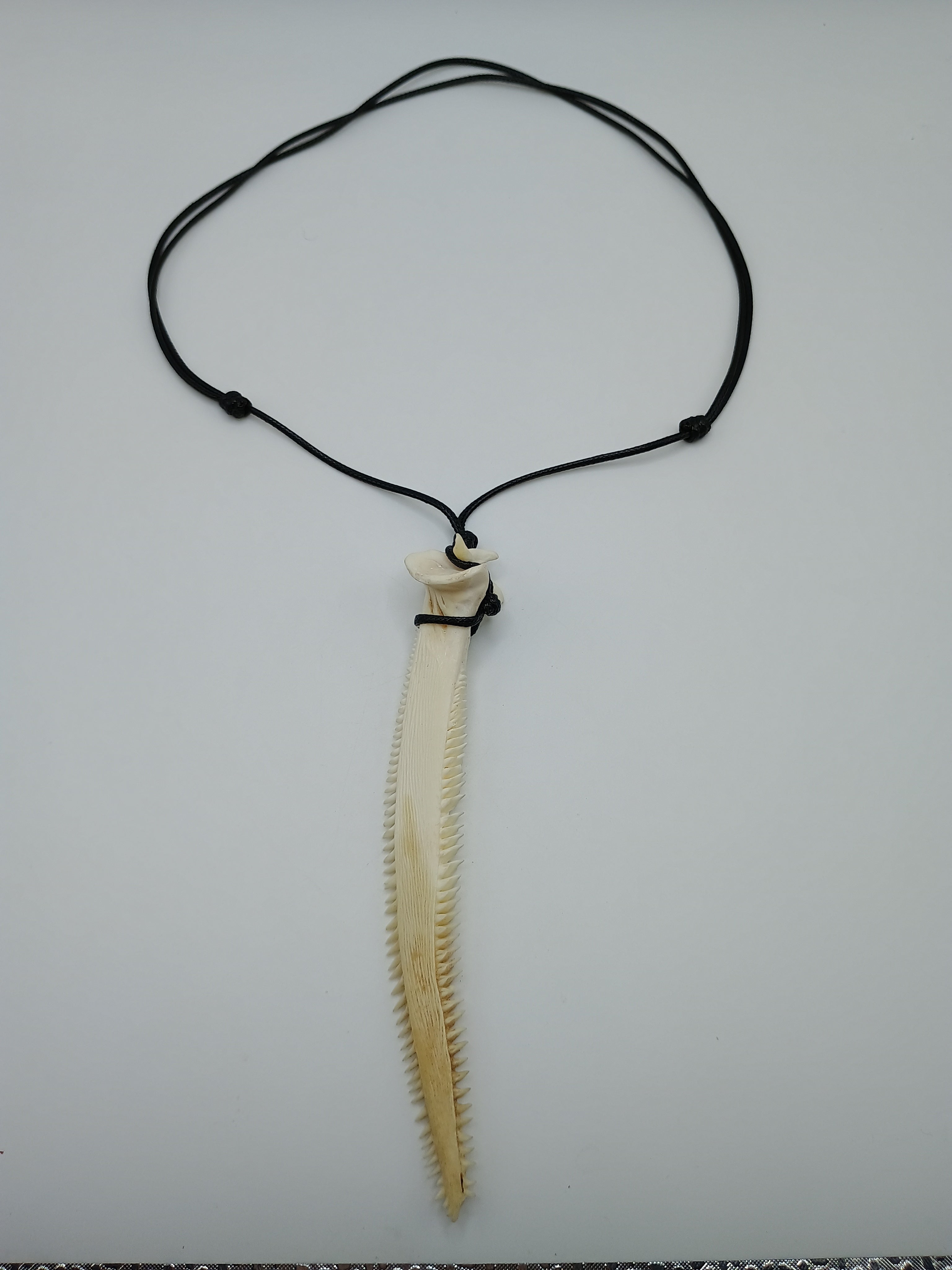 Handmade Natural Stingray Stinger Necklace with Adjustable Black Cord  Description: